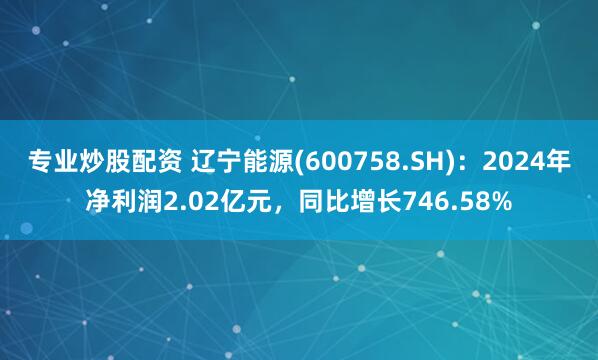 专业炒股配资 辽宁能源(600758.SH)：2024年净利润2.02亿元，同比增长746.58%
