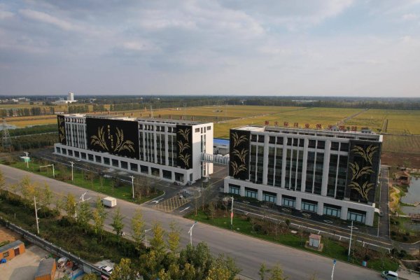 配资实盘平台 农发行山东省分行：执“绿色金融”之笔 绘就临沂乡村振兴新蓝图