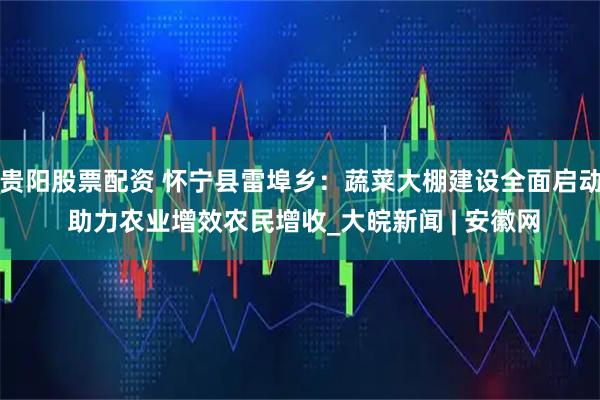 贵阳股票配资 怀宁县雷埠乡：蔬菜大棚建设全面启动 助力农业增效农民增收_大皖新闻 | 安徽网